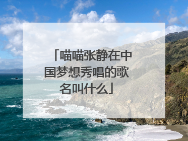 喵喵张静在中国梦想秀唱的歌名叫什么