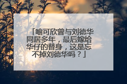 喻可欣曾与刘德华同居多年，最后嫁给华仔的替身，这是忘不掉刘德华吗？