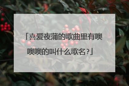 喜爱夜蒲的歌曲里有噢噢噢的叫什么歌名?