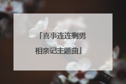 喜事连连剩男相亲记主题曲