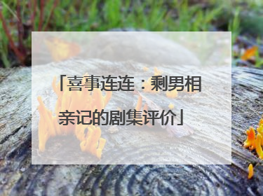 喜事连连：剩男相亲记的剧集评价