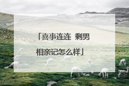 喜事连连 剩男相亲记怎么样