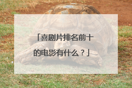 喜剧片排名前十的电影有什么？