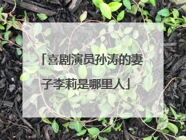 喜剧演员孙涛的妻子李莉是哪里人
