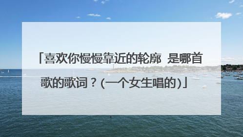 喜欢你慢慢靠近的轮廓 是哪首歌的歌词?(一个女生唱的)