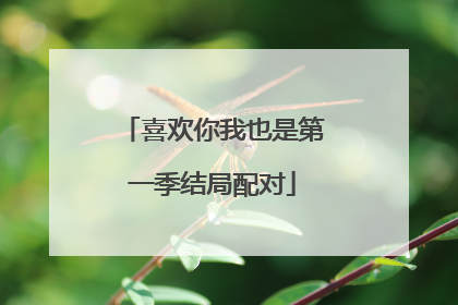 喜欢你我也是第一季结局配对