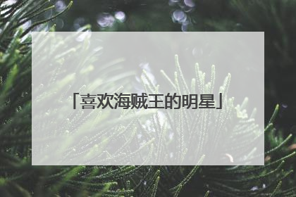 喜欢海贼王的明星