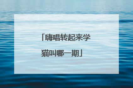 嗨唱转起来学猫叫哪一期