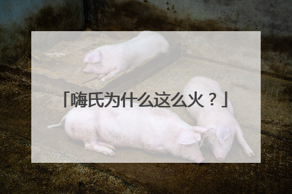 嗨氏为什么这么火？