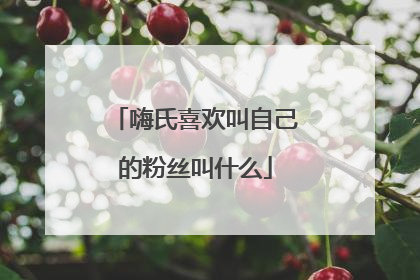 嗨氏喜欢叫自己的粉丝叫什么