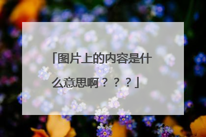 图片上的内容是什么意思啊？？？