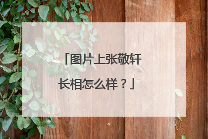 图片上张敬轩长相怎么样?