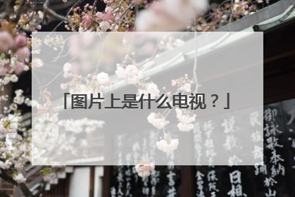 图片上是什么电视?