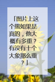 图片上这个熊如果是真的，他大概有多重？有没有十个大象那么重？