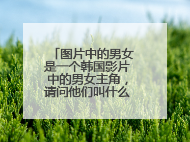 图片中的男女是一个韩国影片中的男女主角,请问他们叫什么名字?谢谢