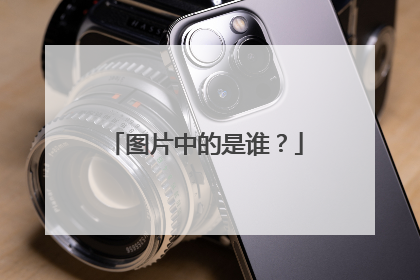 图片中的是谁?