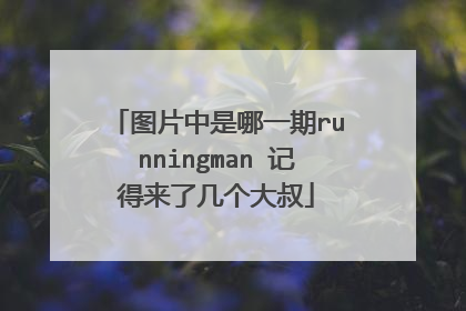 图片中是哪一期runningman 记得来了几个大叔