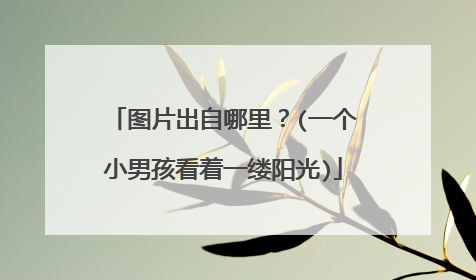 图片出自哪里?(一个小男孩看着一缕阳光)