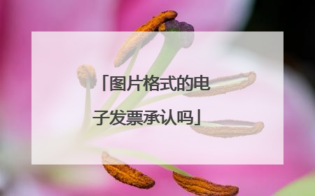 图片格式的电子发票承认吗