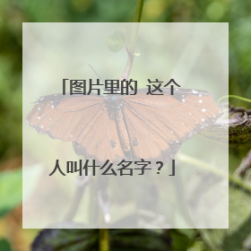 图片里的 这个人叫什么名字？