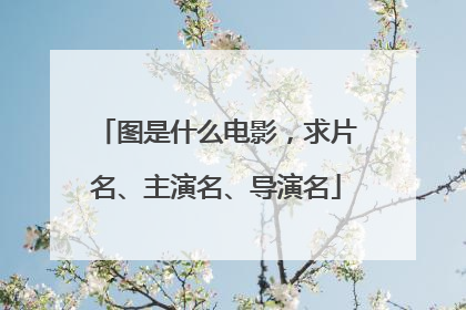 图是什么电影，求片名、主演名、导演名