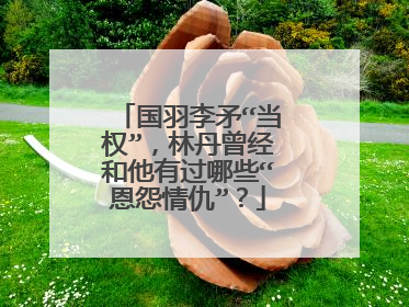 国羽李矛“当权”,林丹曾经和他有过哪些“恩怨情仇”?