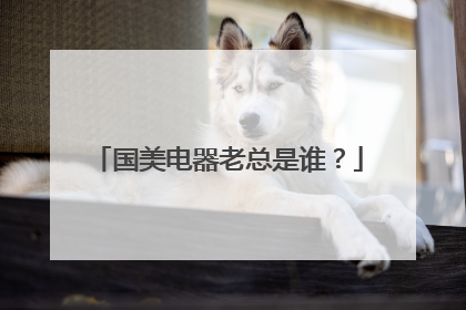 国美电器老总是谁？