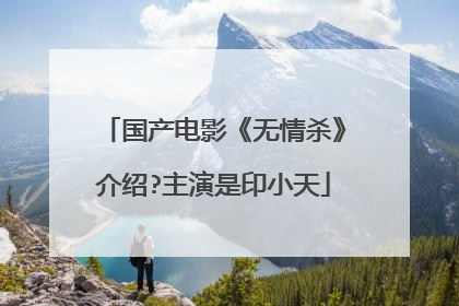 国产电影《无情杀》介绍?主演是印小天