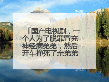 国产电视剧，一个人为了脱罪冒充神经病弟弟，然后开车撞死了亲弟弟，剧里的侦探去了他老家