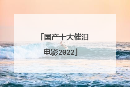 国产十大催泪电影2022