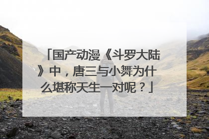 国产动漫《斗罗大陆》中,唐三与小舞为什么堪称天生一对呢?