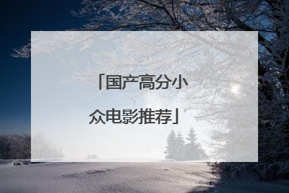 国产高分小众电影推荐