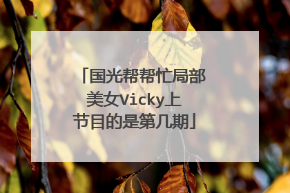 国光帮帮忙局部美女Vicky上节目的是第几期