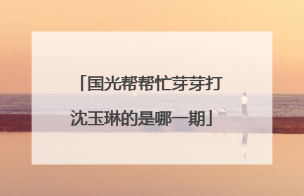国光帮帮忙芽芽打沈玉琳的是哪一期