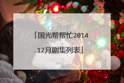 国光帮帮忙2014.12月剧集列表
