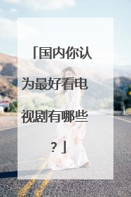 国内你认为最好看电视剧有哪些？