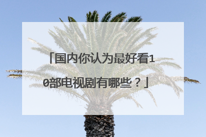 国内你认为最好看10部电视剧有哪些？