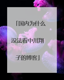 国内为什么没法看中川翔子的博客