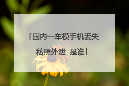 国内一车模手机丢失 私照外泄 是谁