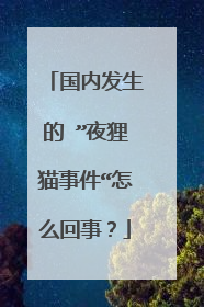 国内发生的 ”夜狸猫事件“怎么回事?