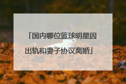 国内哪位篮球明星因出轨和妻子协议离婚