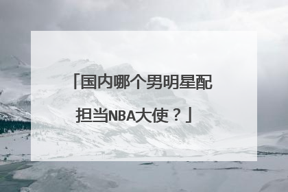 国内哪个男明星配担当NBA大使?