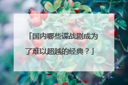国内哪些谍战剧成为了难以超越的经典？