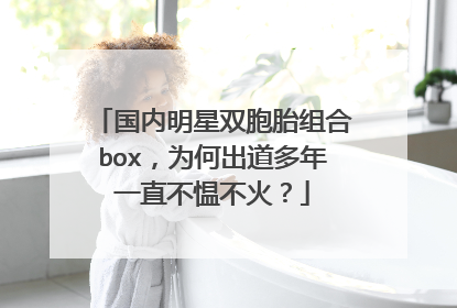国内明星双胞胎组合box,为何出道多年一直不愠不火?