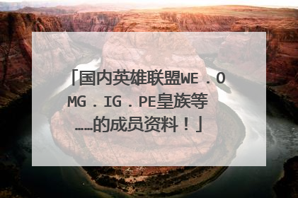 国内英雄联盟WE．OMG．IG．PE皇族等……的成员资料！