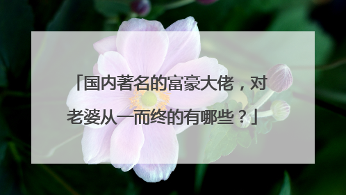 国内著名的富豪大佬，对老婆从一而终的有哪些？