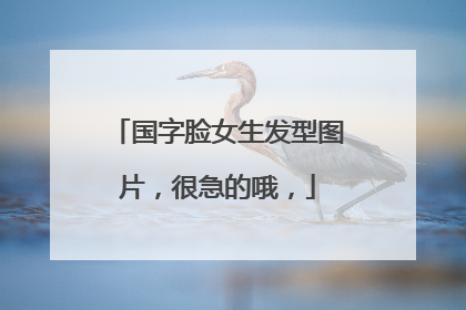 国字脸女生发型图片,很急的哦,