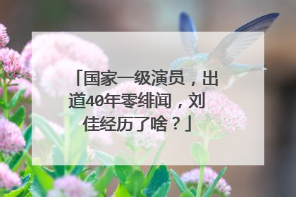 国家一级演员，出道40年零绯闻，刘佳经历了啥？
