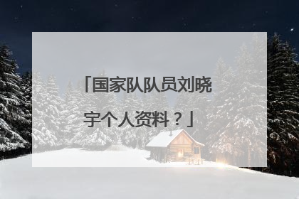 国家队队员刘晓宇个人资料？
