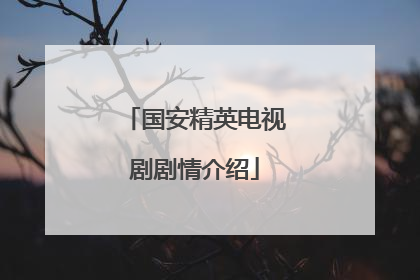 国安精英电视剧剧情介绍